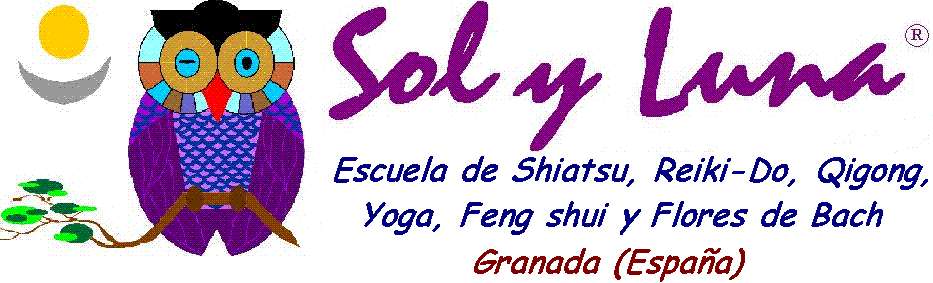 www.escuelasolyluna.com