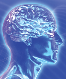 cervello
