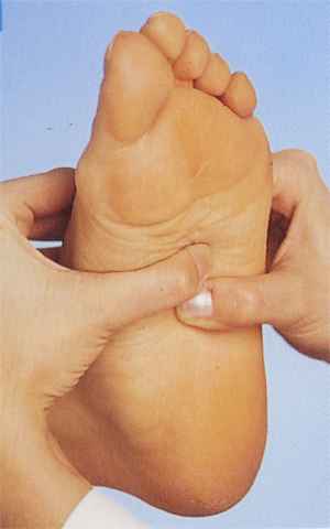 the reflexology